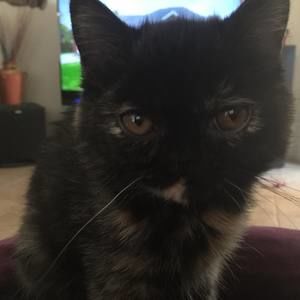 Meet your Posher, Linda mason